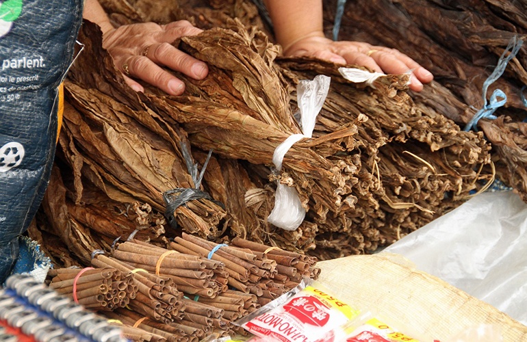 Dried Tobacco Leaves